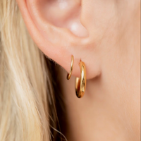 Twisted Double Hoop